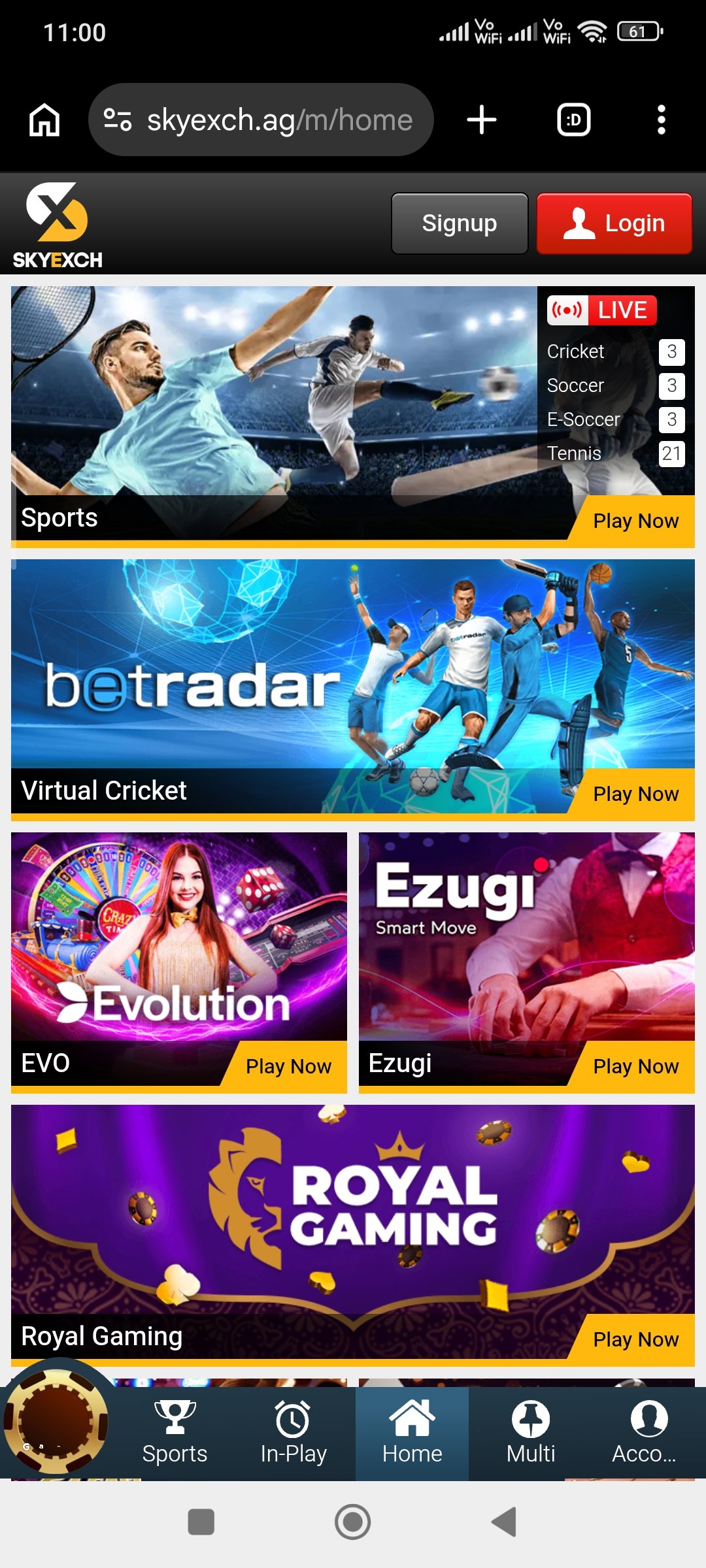 skyexchange-id.com screenshot